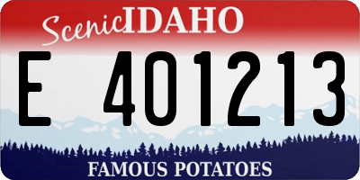 ID license plate E401213