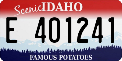 ID license plate E401241