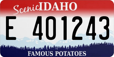 ID license plate E401243