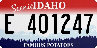 ID license plate E401247
