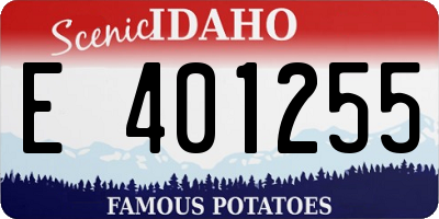 ID license plate E401255