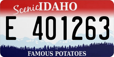 ID license plate E401263