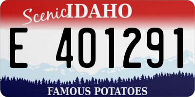 ID license plate E401291