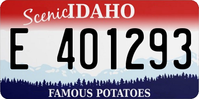 ID license plate E401293