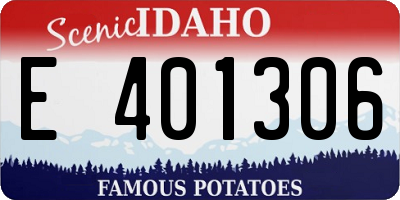 ID license plate E401306