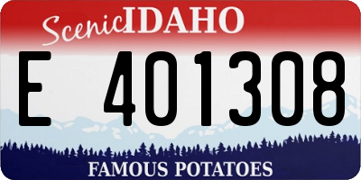 ID license plate E401308