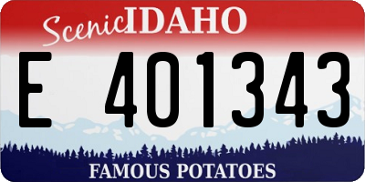 ID license plate E401343