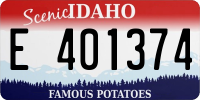 ID license plate E401374