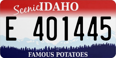 ID license plate E401445