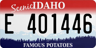 ID license plate E401446