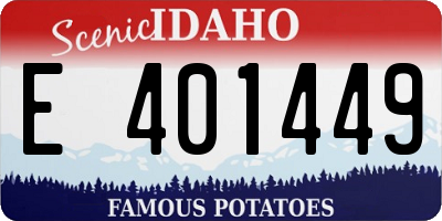 ID license plate E401449