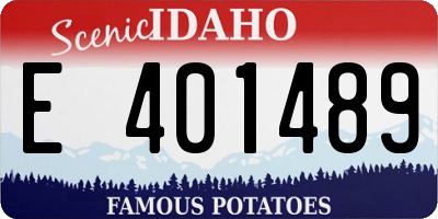 ID license plate E401489