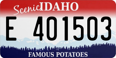 ID license plate E401503