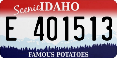 ID license plate E401513