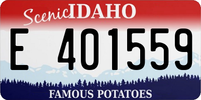 ID license plate E401559