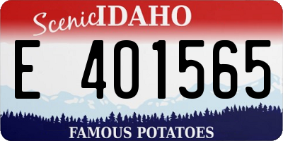 ID license plate E401565