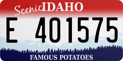 ID license plate E401575