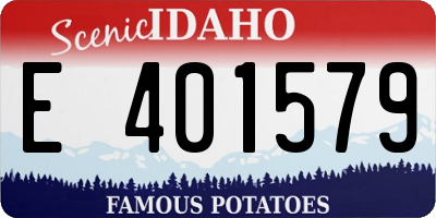 ID license plate E401579