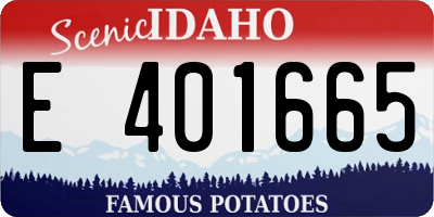ID license plate E401665