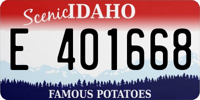 ID license plate E401668