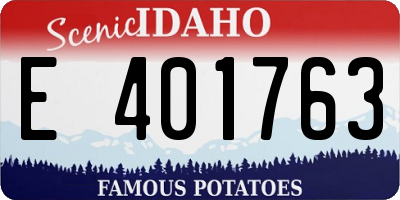 ID license plate E401763