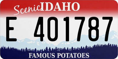 ID license plate E401787