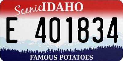 ID license plate E401834