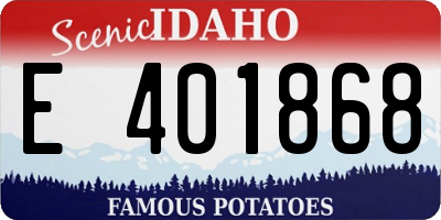 ID license plate E401868
