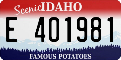 ID license plate E401981
