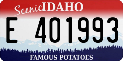 ID license plate E401993