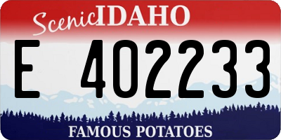 ID license plate E402233