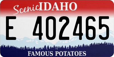 ID license plate E402465