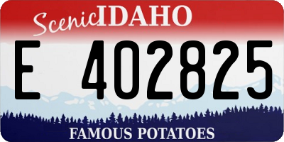 ID license plate E402825