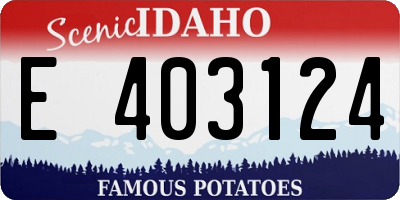 ID license plate E403124