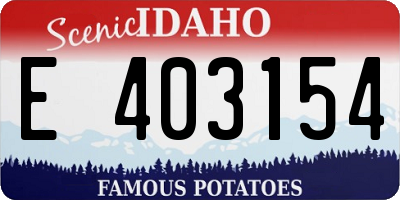 ID license plate E403154