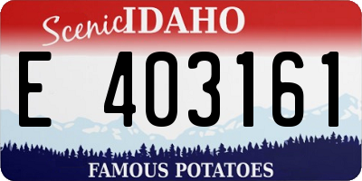 ID license plate E403161