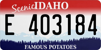 ID license plate E403184