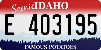 ID license plate E403195