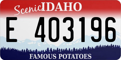 ID license plate E403196