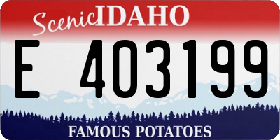 ID license plate E403199