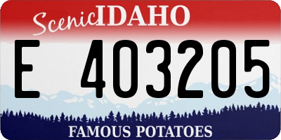 ID license plate E403205