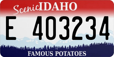 ID license plate E403234