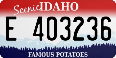 ID license plate E403236