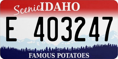 ID license plate E403247