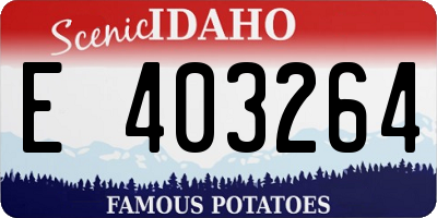 ID license plate E403264