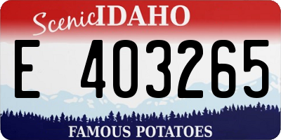 ID license plate E403265