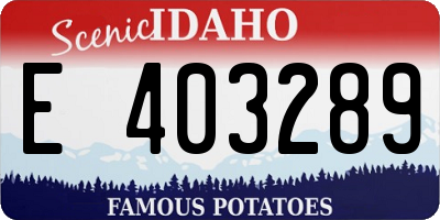 ID license plate E403289
