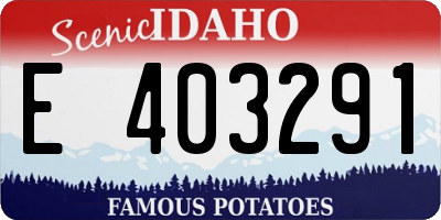 ID license plate E403291