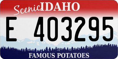 ID license plate E403295