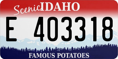 ID license plate E403318